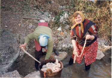 eika image